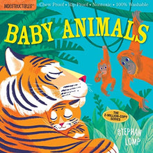 Load image into Gallery viewer, Indestructibles Book Series - 17 Titles